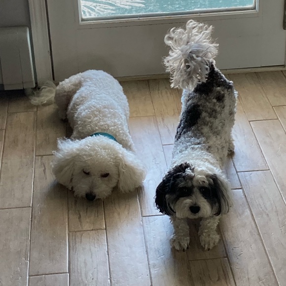 Meet your Posher - Picture 2 of 2